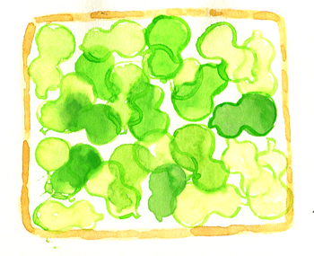 �Ђ傤����