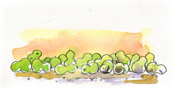 �Ђ傤����