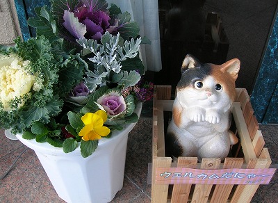 �����˥��-2