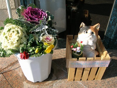 2014������-2